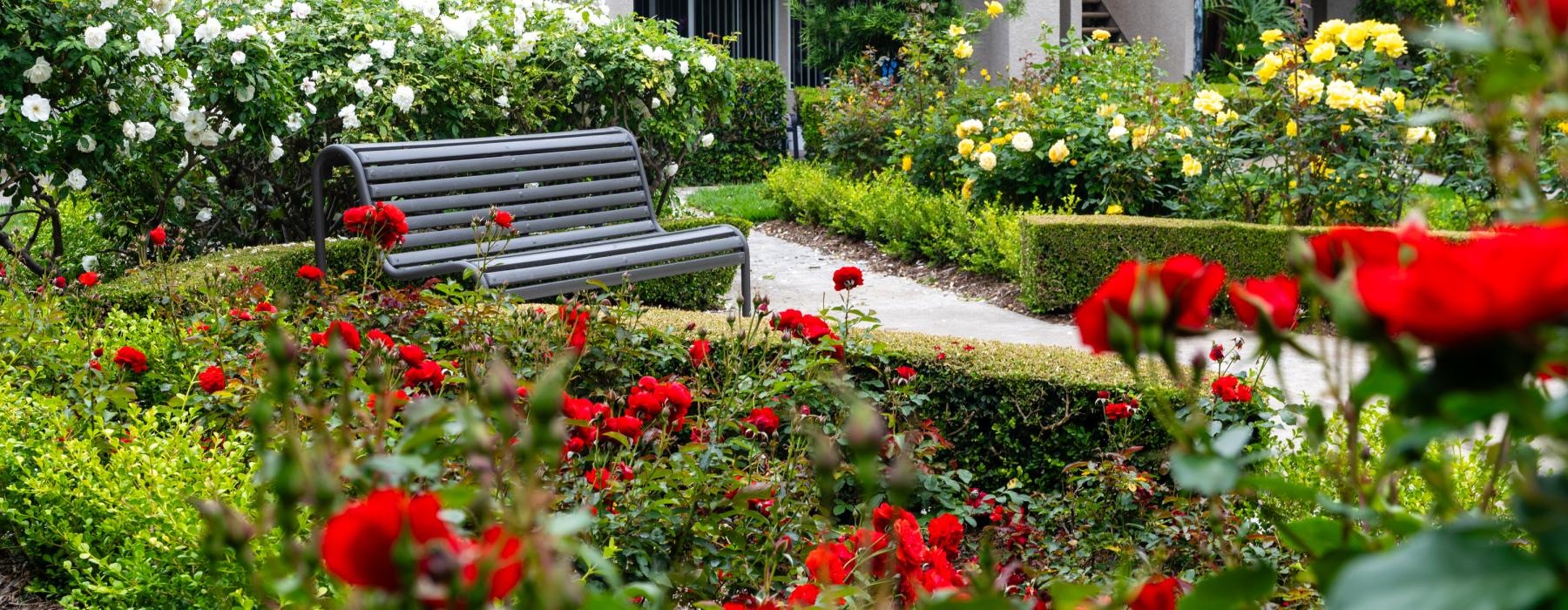 a bench in a garden