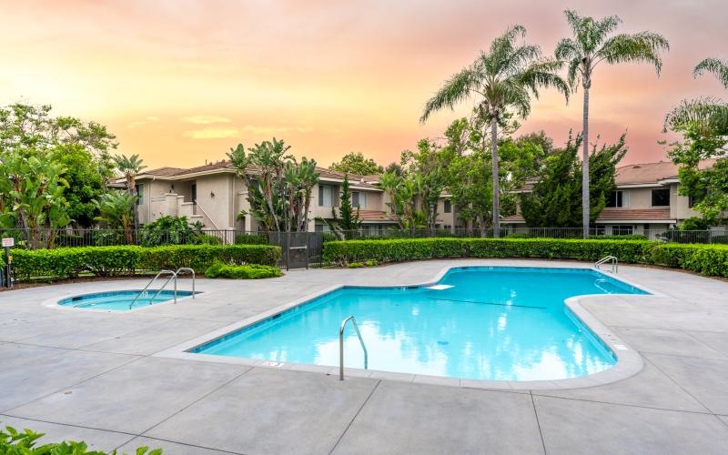 a swimming pool with palm trees and buildings in the background